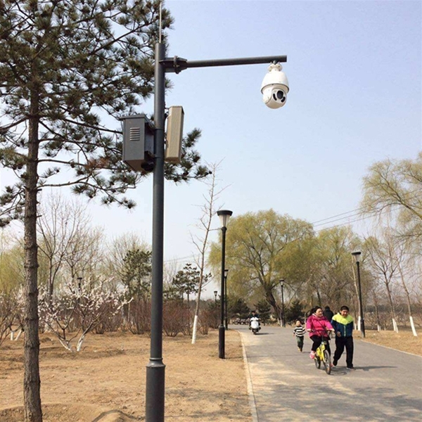 石嘴山路灯监控杆-LB-03