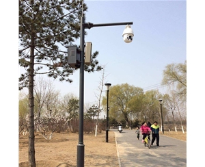 石嘴山路灯监控杆-LB-03